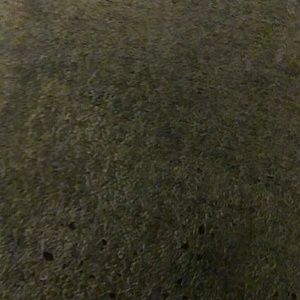 Meet your Posher, Everardo